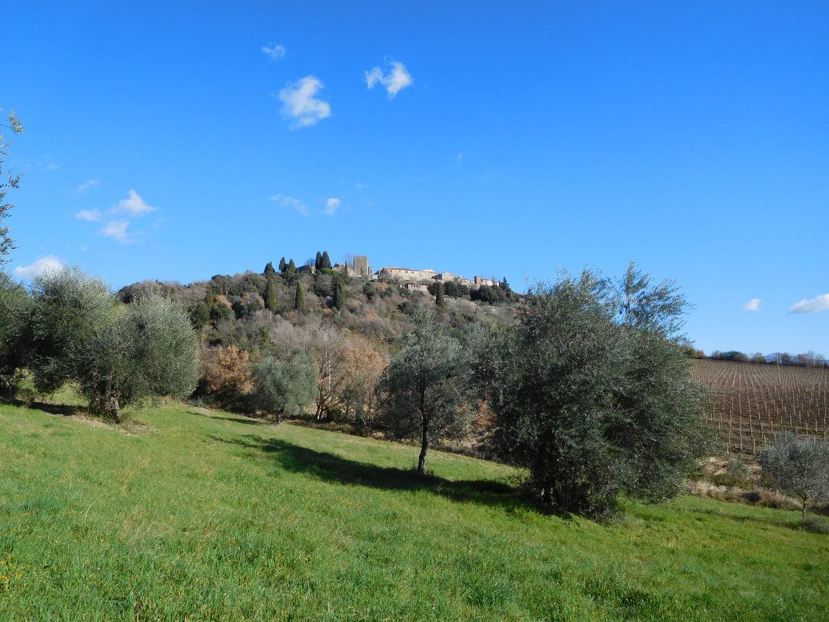 Borgo Vecchio Hotel Montalcino Exterior photo